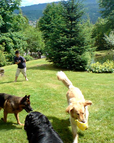 Urlaub mit Hund im Bayerischen Wald